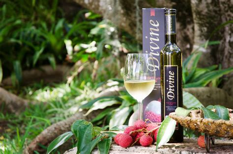 Divine : Le vin bien de chez nous présenté par Oxenham