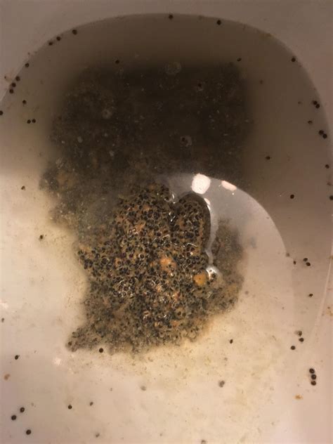 Great Black Spots Stool of all time Don t miss out | stoolz