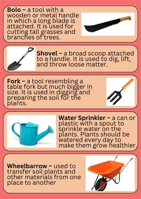 Gardening tools and their uses – Artofit