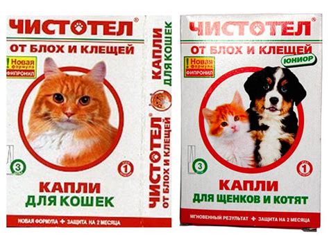 Чистотел капли для кошек: инструкция и отзывы