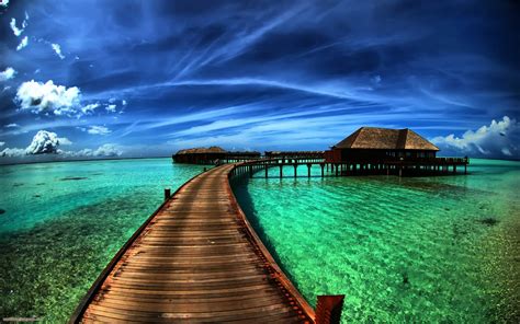 wallpapers hd  wall papers