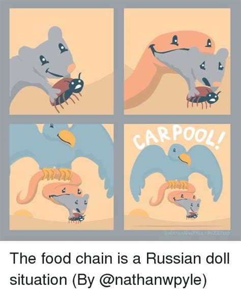 Food, Memes, and 🤖: RPOOLI NATHAN WPYLE BUZZFEEDThe food chain is a ...