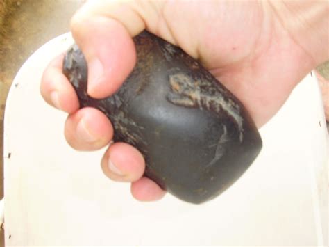 Qual O Substantivo Derivado De Pedra
