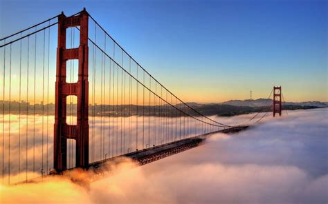 Download Beautiful view of downtown San Francisco at night Wallpaper ...