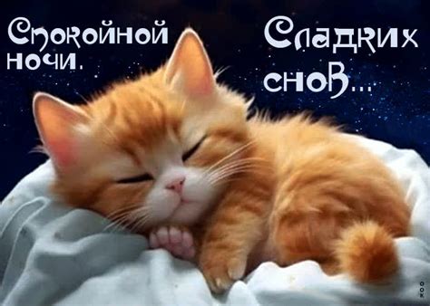 Прекрасная анимационная открытка Спокойной ночи! Сладких снов- Скачать ...