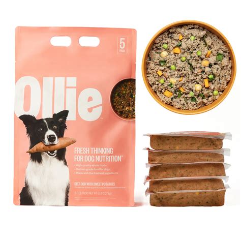 Ollie Fresh Beef Dish with Sweet Potatoes Fresh Frozen Dog Food, 5 lbs