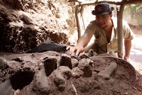 Scientists Uncover Super-Old Fossils In Wyoming — VIDEO