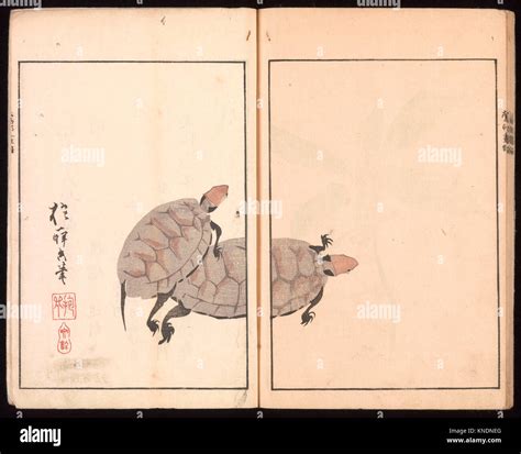 Oson (Hoitsu) Picture Album (Oson gafu). Artist: Sakai Hoitsu (Japanese ...