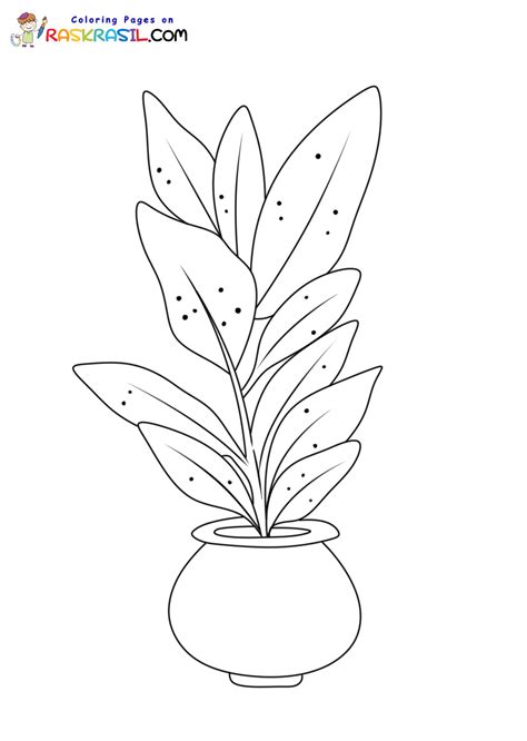 Desenhos De Plantas E Flores - 5