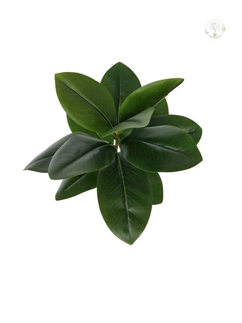 2.5ft Magnolia Plant – FS ARTIFICIAL PLANTS
