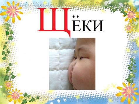 Картинки про букву Щ детям — учим русский алфавит