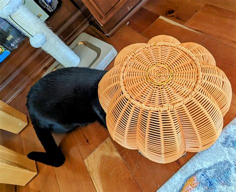 You'll never find him! : r/ThereIsnoCat