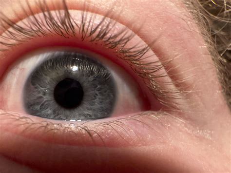 iphone  pro review dynamic island  massive camera sensor offer