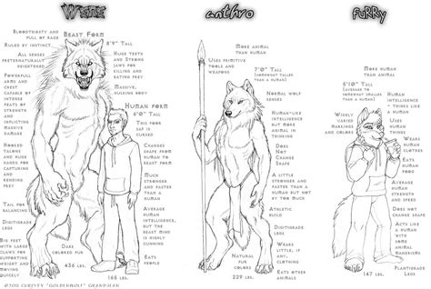 My Definitions by Goldenwolf on DeviantArt