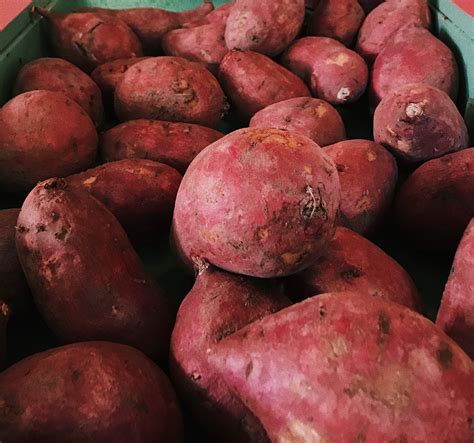 Gut Health Enzymes in Sweet Potatoes and These Other Fall Treats