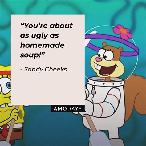 18 Sandy Cheeks Quotes