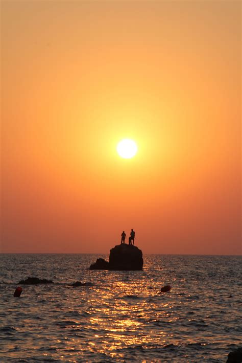 Curious Rent (@CuriousRent) / Twitter