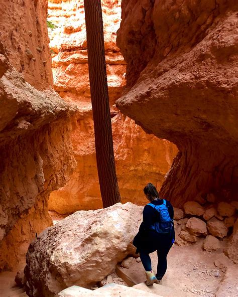 Bailey (@bay_3194) • Instagram photos and videos