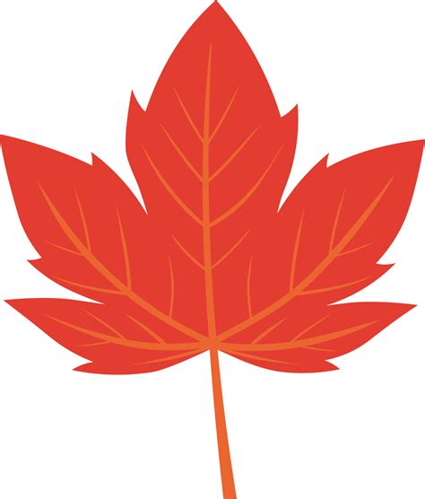 An Overview Of Temperate Deciduous Forest Animals And Habitats - DADA