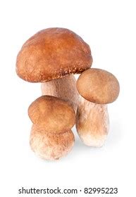 fore cep  images pictures shutterstock