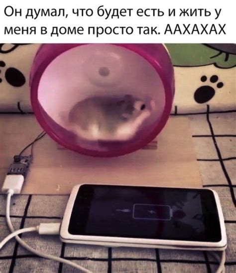 Пин от пользователя Женя Шигорина на доске женькины причуды | Смешные ...