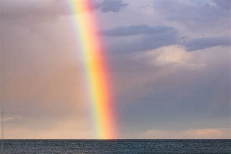 big rainbow   sea  stocksy contributor oleksandr