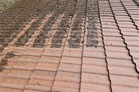 Roof Soft Wash: The Secret to a Long-Lasting Roof - Frontline Home ...