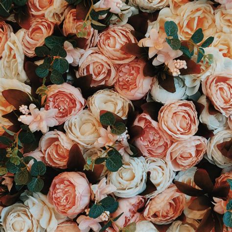 29 Rose Poems For The Romantic - Aestheticpoems