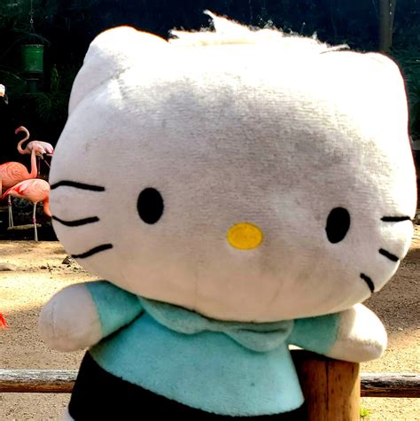 This article explains the phenomenon behind the dear daniel trend 17