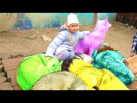 Алиса играет с Хаски! Самые добрые собаки в мире / Мими Лисса - YouTube