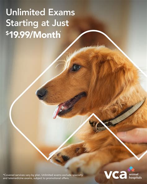 columbus animal hospital columbus indiana 6