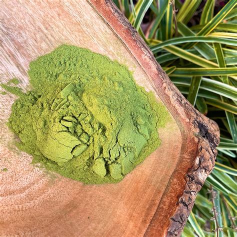 chaya powder  capsules