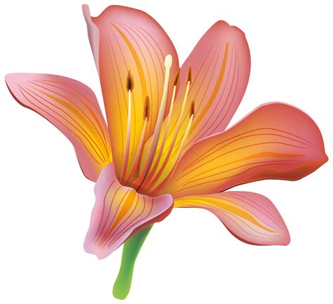 lily flowers clip art 5