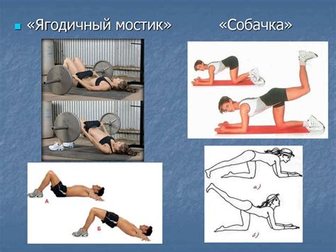 Комплекс упражнений для мышц брюшного пресса и ног - презентация онлайн