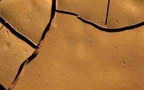 life underground    scientist