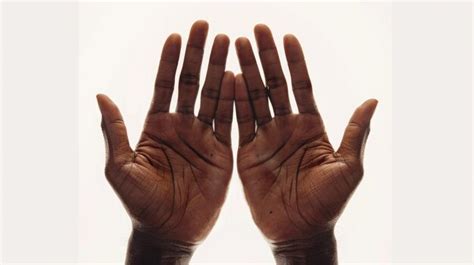 premium photo  pair  hands  palms facing