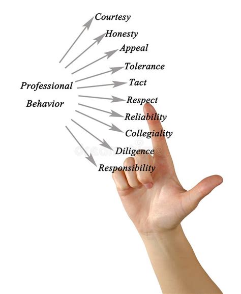 diagram  professional behavior stock photo image  presenting