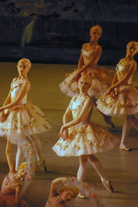 Mariinka.org - Просмотр темы - Mariinsky Season 2008-2009