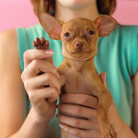 Contact | Sensational Seniors™ 