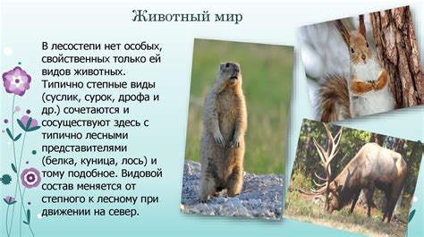 Степи и лесостепи - презентация онлайн