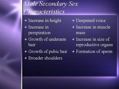 Reproduction Unit Male Reproductive System Puberty period of
