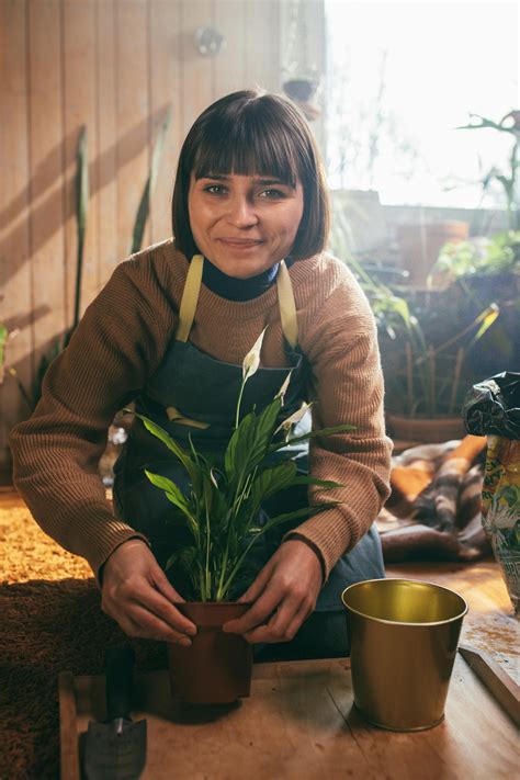 Person Arranging Pot Plant · Free Stock Photo