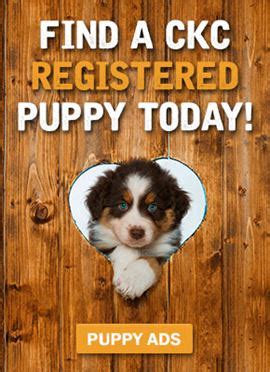 Breeds and Standards - CKC