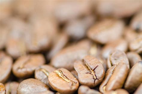 Coffee Beans · Free Stock Photo