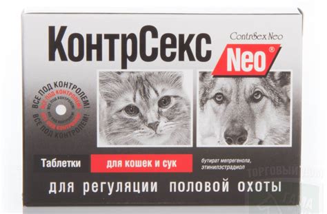 Как успокоить кошку при течке в домашних условиях