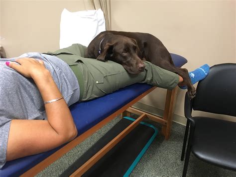 Apex Manual Therapy - Orthopedic Physical Therapy - Left Knee