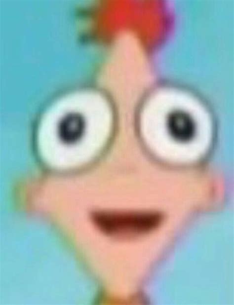 Phineas facing forward | Phineas and ferb memes, Phineas and ferb ...