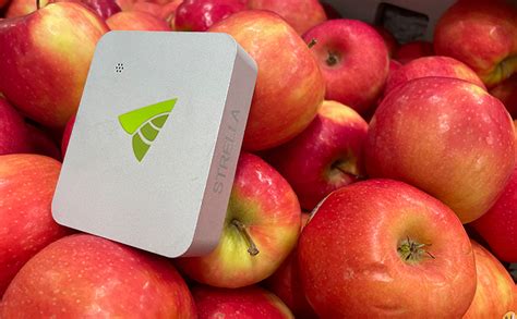 Strella launches retailer-focused automated quality management platform ...
