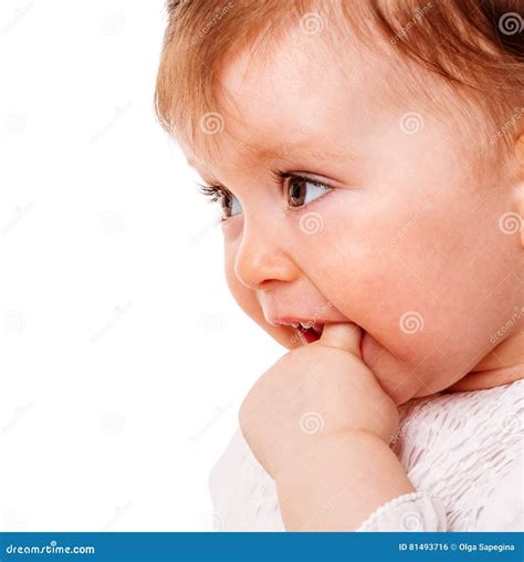 Girl sucking finger stock photo. Image of little, adorable - 81493716