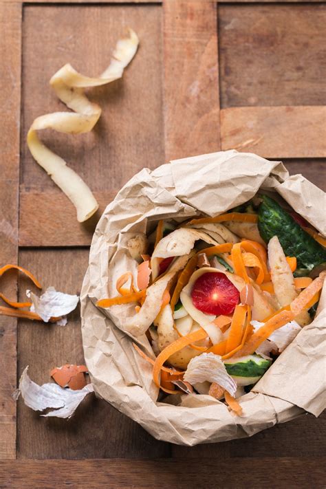 Things that Attract Rodents to Your Home - Sigma Pest Control